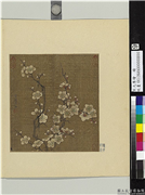 宋元集绘　册　元管道昇白梅,绘画,花草