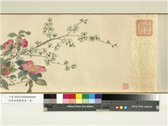 清董诰琼圃霏香　卷,绘画,花草,果蔬