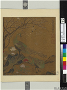 宋元集绘　册　明边文进孔雀,绘画,翎毛,花草,树木