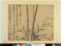 元吴镇墨竹谱　册　清风五百竿,绘画,树木