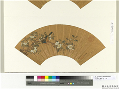 明吕纪画李花　册页,绘画,花草,翎毛