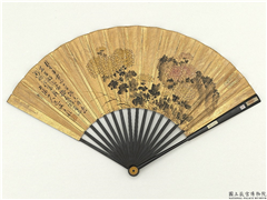 明陈淳画菊花图　成扇,绘画,花草,山水