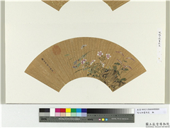 明赵文俶画秋花　册页,绘画,花草,草虫
