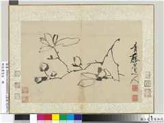 明徐渭写生册　册　水墨画辛夷,绘画,花草
