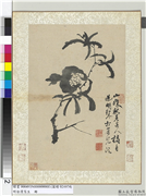 明徐渭写生册　册　水墨直幅画石榴,绘画,花草