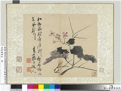 明徐渭写生册　册　浅设色画海棠,绘画,花草