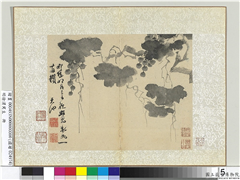 明徐渭写生册　册　水墨画葡萄,绘画,果蔬