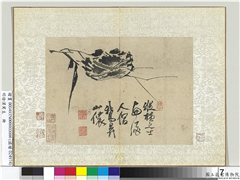 明徐渭写生册　册　水墨画芦蟹,绘画,水中动植物,花草