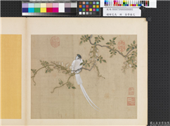 绣绘花鸟　册　寿带藤花,缂绣,绘画,翎毛,花草
