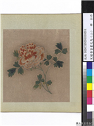 宋绣黄筌画花鸟（二）　册　牡丹,缂绣,绘画,花草