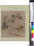 宋绣黄筌画花鸟（二）　册　秋葵双鸡,缂绣,绘画,翎毛,花草,山水