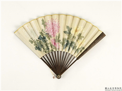 清人花卉　成扇,绘画,花草