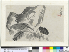 清朱耷写生　册　拳石玉簪,绘画,山水,树木