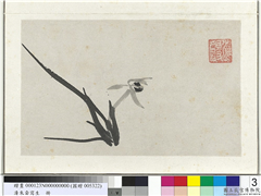 清朱耷写生　册　兰,绘画,花草