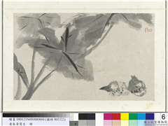 清朱耷写生　册　芋,绘画,果蔬