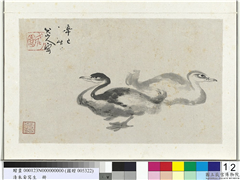 清朱耷写生　册　双凫,绘画,翎毛