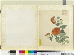 无款菊绘册　册　虎皮球,绘画,花草