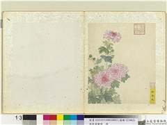 无款菊绘册　册　粉西施,绘画,花草