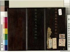 清张若霭临文徵明药师经　册,书法,