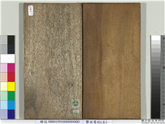 郁冈斋帖（五）　册　明宋濂题跋,书法,法帖,墨拓,