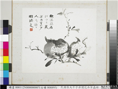 民国张大千于非闇花卉草虫　册　石榴,绘画,果蔬