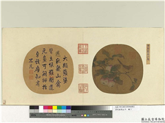 艺苑藏真（上）　册　五代黄筌苹婆山鸟,绘画,果蔬,翎毛