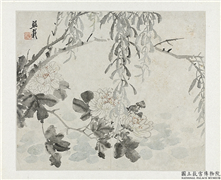 清吴熙载花卉册　册　菊花雁来红,绘画,花草