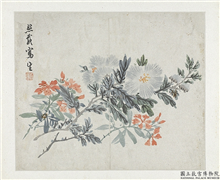 清吴熙载花卉册　册　杨柳芙蓉,绘画,树木,花草