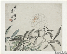 清吴熙载花卉册　册　芍药,绘画,花草