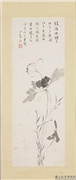 民国溥心畲荷花　轴,绘画,花草