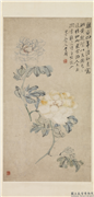 清李鱓牡丹　轴,绘画,花草