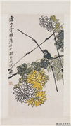 民国齐白石菊花　轴,绘画,花草