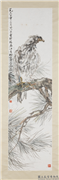 民国汪亚尘松鹰　轴,绘画,翎毛,树木