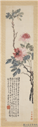 民国陈衡恪牡丹　轴,绘画,花草