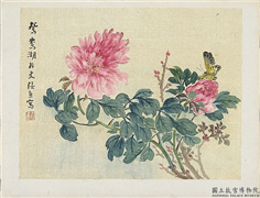 清张熊牡丹蝴蝶　册页,绘画,花草,草虫