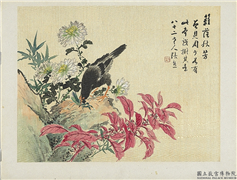 清张熊篱落秋芳　册页,绘画,翎毛,花草,草虫,树木