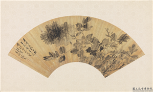 清张熊牡丹扇面　镜片,绘画,花草