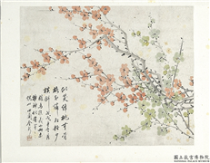 清金斓梅花　册　临马扶羲小册,绘画,花草