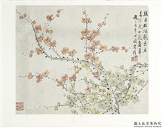 清金斓梅花　册　疏甚枝条艳是花,绘画,花草