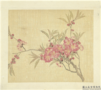 清张熊花卉册　册　碧桃花,绘画,花草