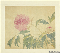 清张熊花卉册　册　牡丹,绘画,花草