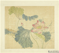 清张熊花卉册　册　荷花,绘画,花草