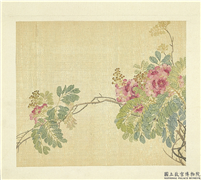 清张熊花卉册　册　紫薇,绘画,花草