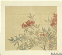 清张熊花卉册　册　天竺,绘画,花草