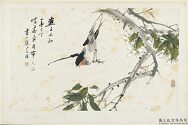 清朱偁花鸟册　册　梨花燕子,绘画,花草,翎毛