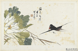 清朱偁花鸟册　册　荷花燕子,绘画,翎毛,花草