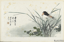清朱偁花鸟册　册　莲花燕子,绘画,翎毛,花草,山水