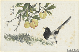清朱偁花鸟册　册　桃子山雀,绘画,翎毛,果蔬,花草