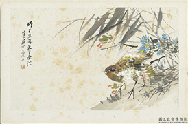清朱偁花鸟册　册　菊花山鹧,绘画,翎毛,花草,树木