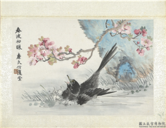 清陆恢动植物逸品册　册　春波初暖,绘画,山水,翎毛,花草